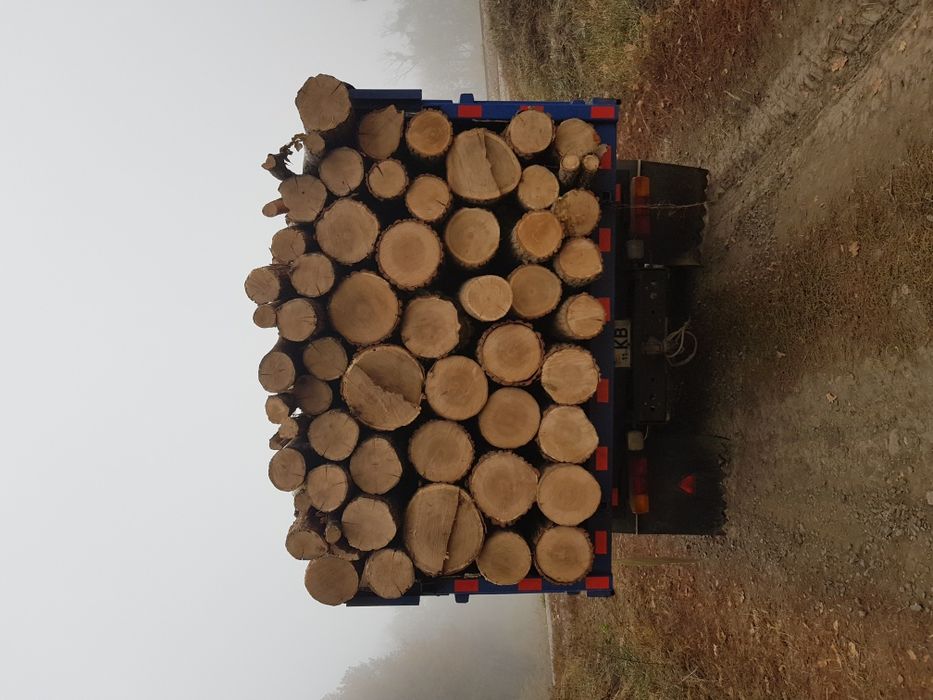 Продаю дрова твердих порід