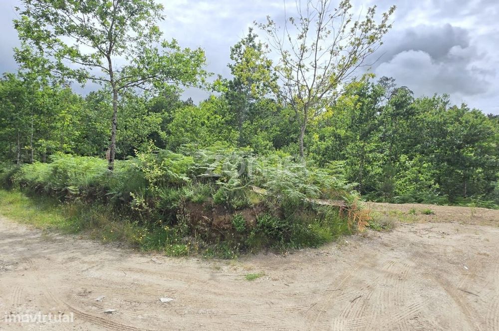 Land for Construction – Fiscal, Amares