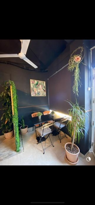 Restaurante pronto a funcionar (sem trespasse)