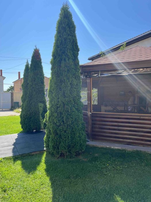 Сдам будинок  чан та лазня на дровах.