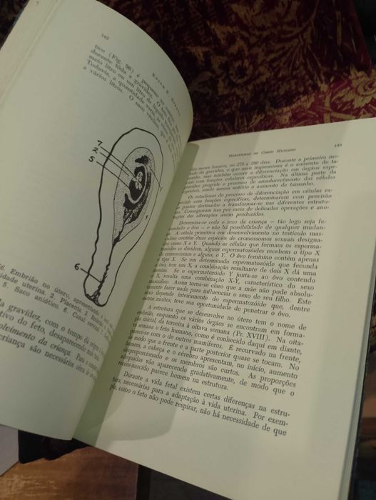 Maravilhas do Corpo Humano 1959 Edith E. Sproul