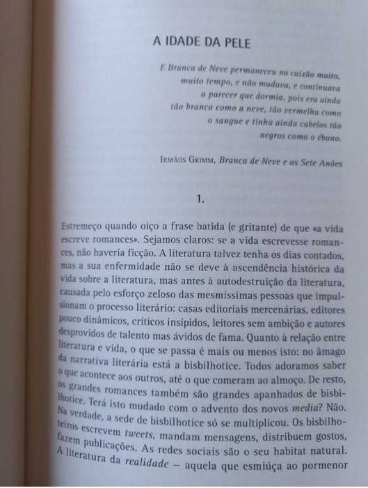 A Idade da Pele - Dubravka Ugrešic