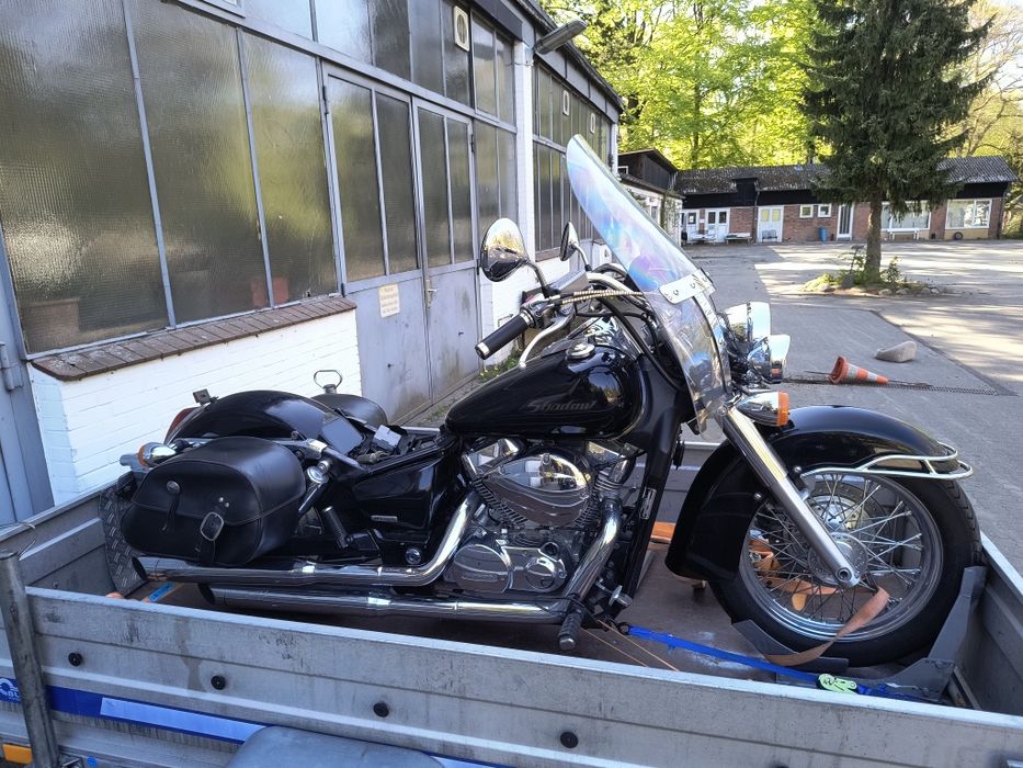 Przyczepa lekka Blyss uchylna burta.