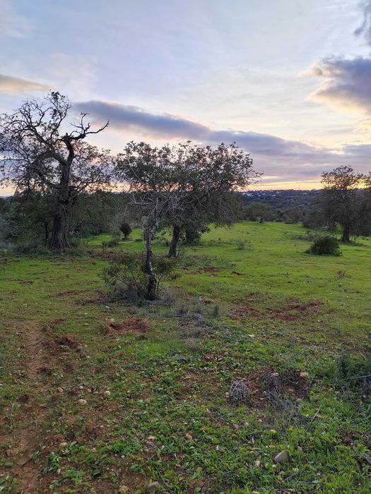 Arrendamento de Terreno