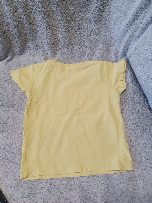 Koszulka 3x, morskie zwierzęta, paski, lody, Matalan, George, r.80