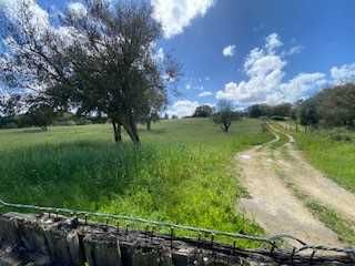 Aceitamos cavalos a pasto