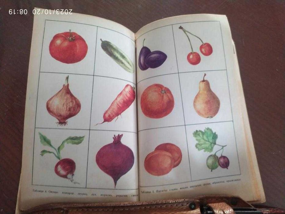 Максаков, Тумакова. Учите, играя.