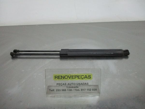 Amortecedor da mala RENAULT Scénic III (JZ0/1_)