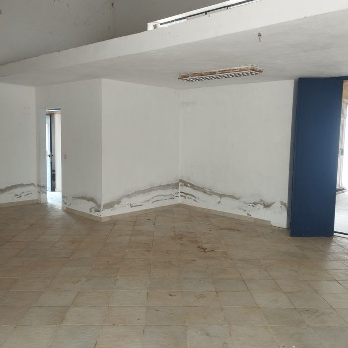 Pintura e reparações..