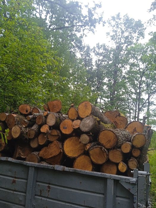 Дрова м'яка порода вільха,осика,черемха.