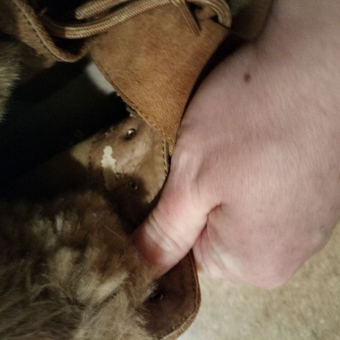 Damskie buty Kazar studio r.38