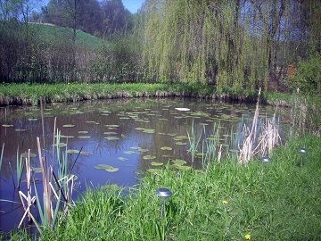 Pokoje!!! Agroturystyka!!! Kazimierz Dolny okolice