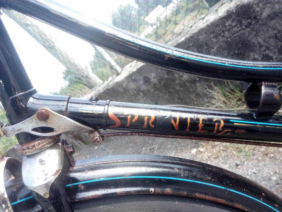 Bicicleta Pasteleira de Senhora