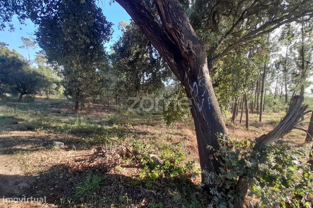 Terreno Rustico