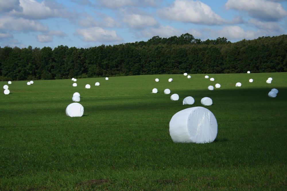 Siano Suche w Belach, Sianokiszonka