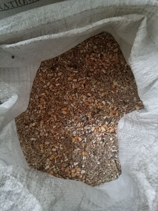 Продам зерно . Зерновідходи. Комбікорм.висівка. товч.