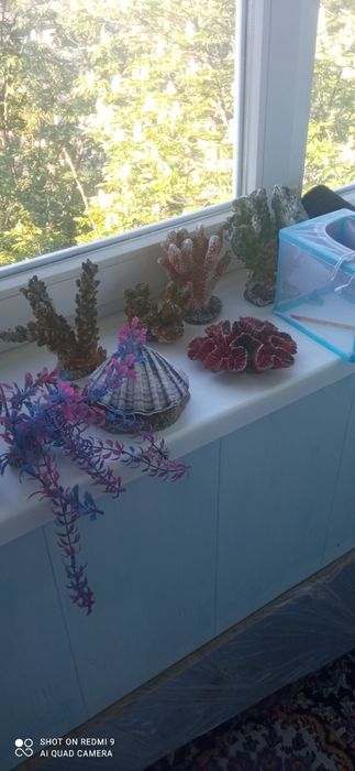 Аквариум большой