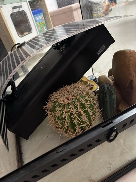 Terrário de Vidro