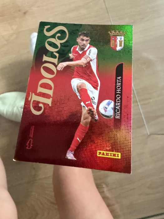 Cartas Idolos Panini