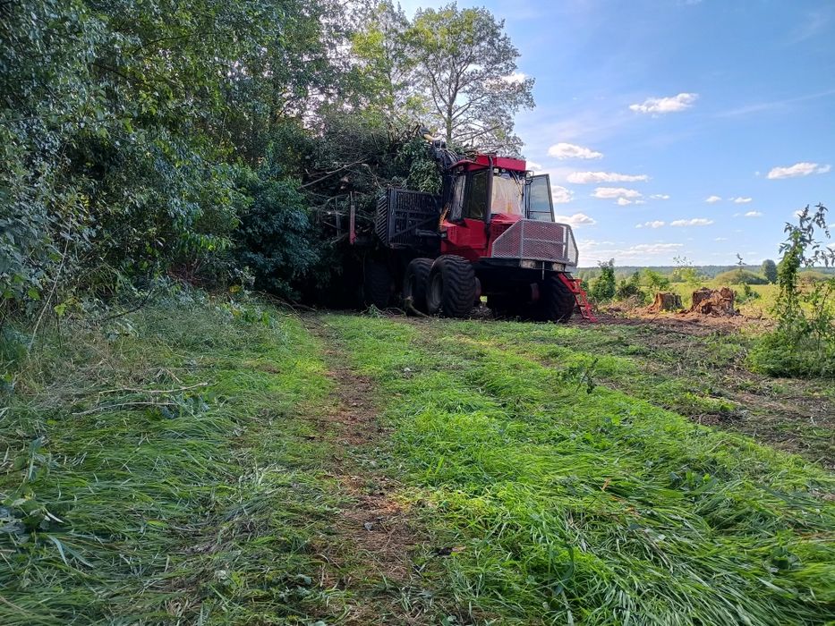 Ścinka drzew mulczer czyszczenie działek samosiewy