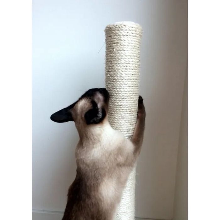 Słupek do drapania| NOWY | różne kolory