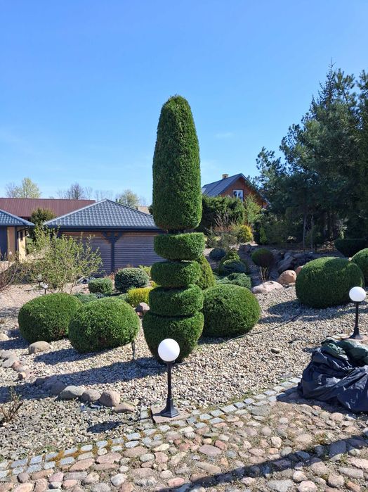 Pielęgnacja ogrodów - Wycena darmowa