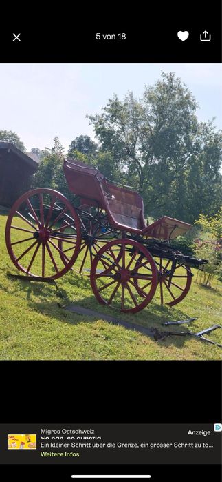 Dorożka na jednego konia;kucyka