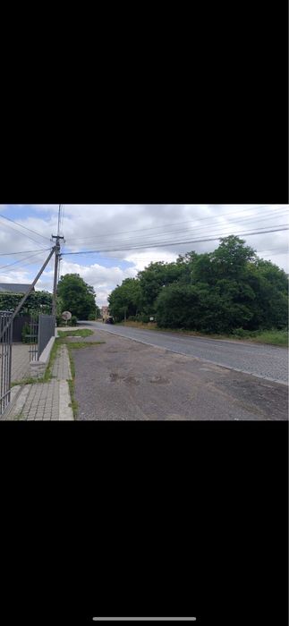 Земельна  ділянка