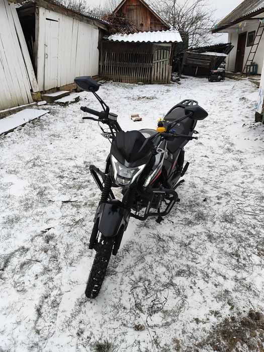 Musstang fortune 200