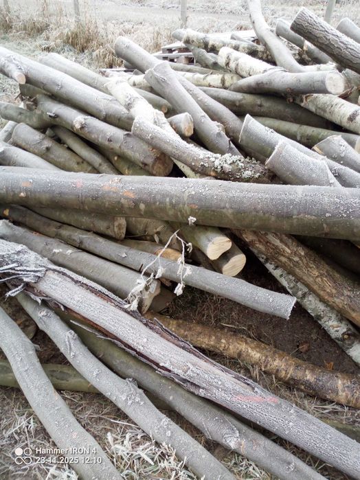 Drewno opałowe, kominkowe mieszane buk i brzoza