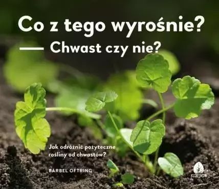 Co z tego wyrośnie? Chwast czy nie?. Purana