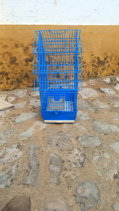 Gaiola para pássaros