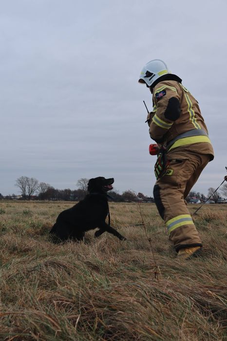 Magia świąt potrzebna