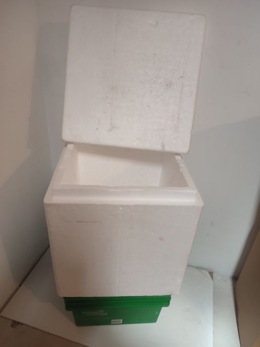 Caixas  isotérmicas vários tamanhos como novas