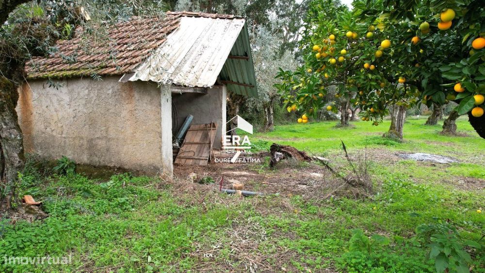 Terreno para Construção perto da Freixianda