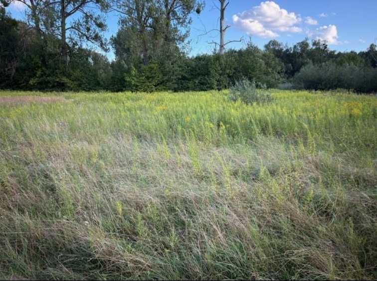 Działki na sprzedaż-Jaktorów Kolonia 4,26 ha, MPZP
