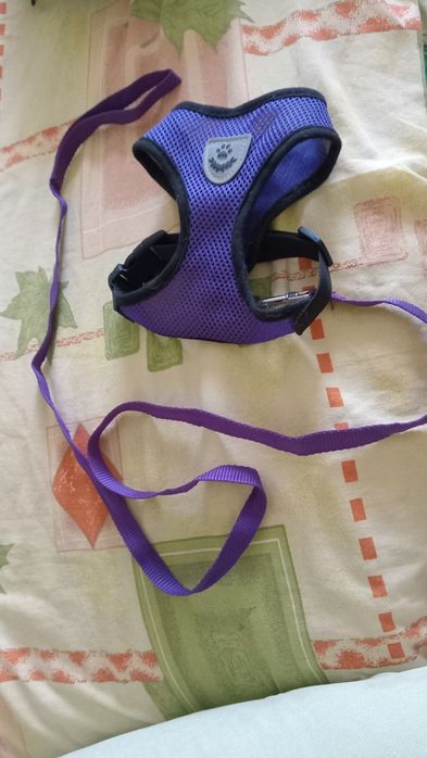 Продам ошейник для кошечки  или маленькое собачки.