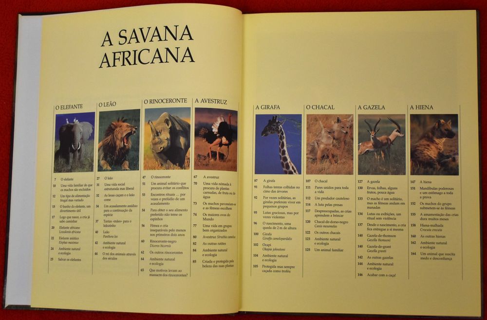 Vida Selvagem - Animais das Savana