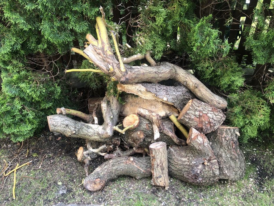 Ekologiczne drzewo do kominka wierzba  0,5m3