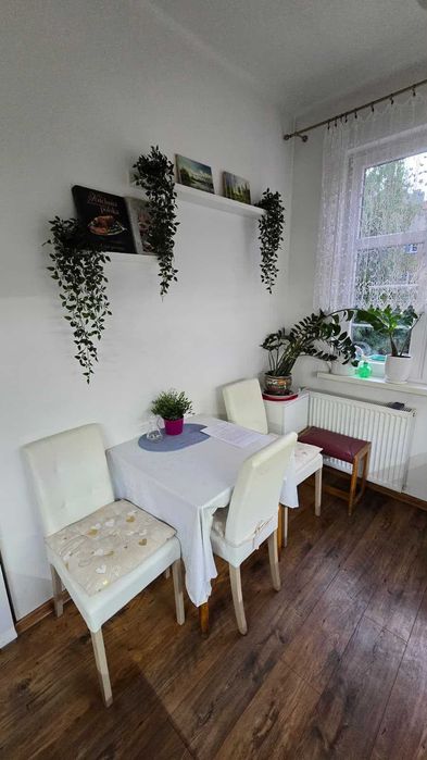 Pokój na wynajem