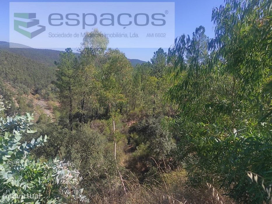 Terreno Florestal