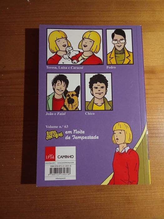 Livro Uma aventura voadora como novo