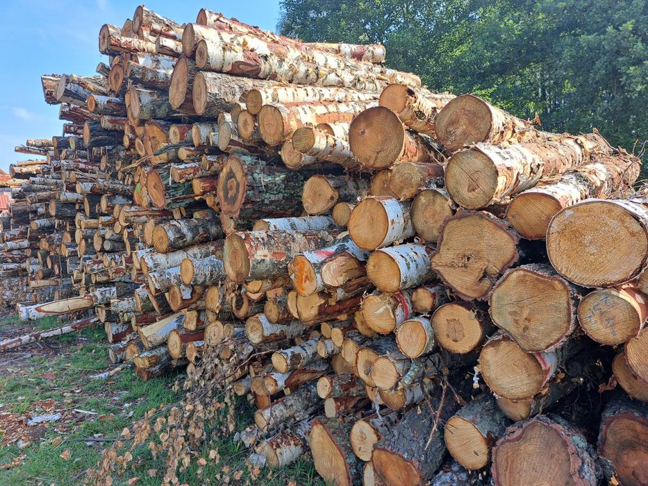 Drewno Opałowe i Kominkowe z Transportem