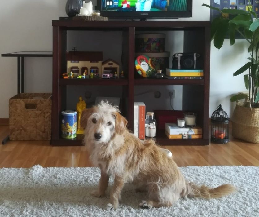 Móvel estilo kallax Ikea