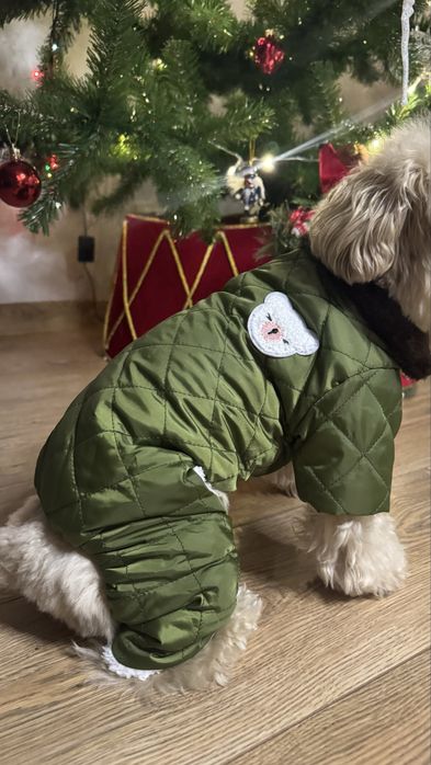 Зимовий костюм для собак