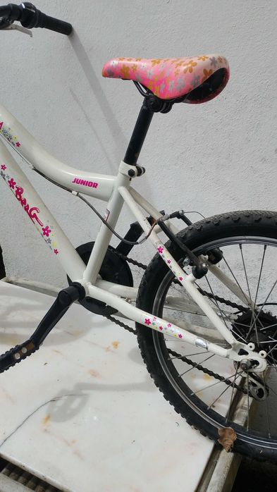Bicicleta roda 20 polegadas