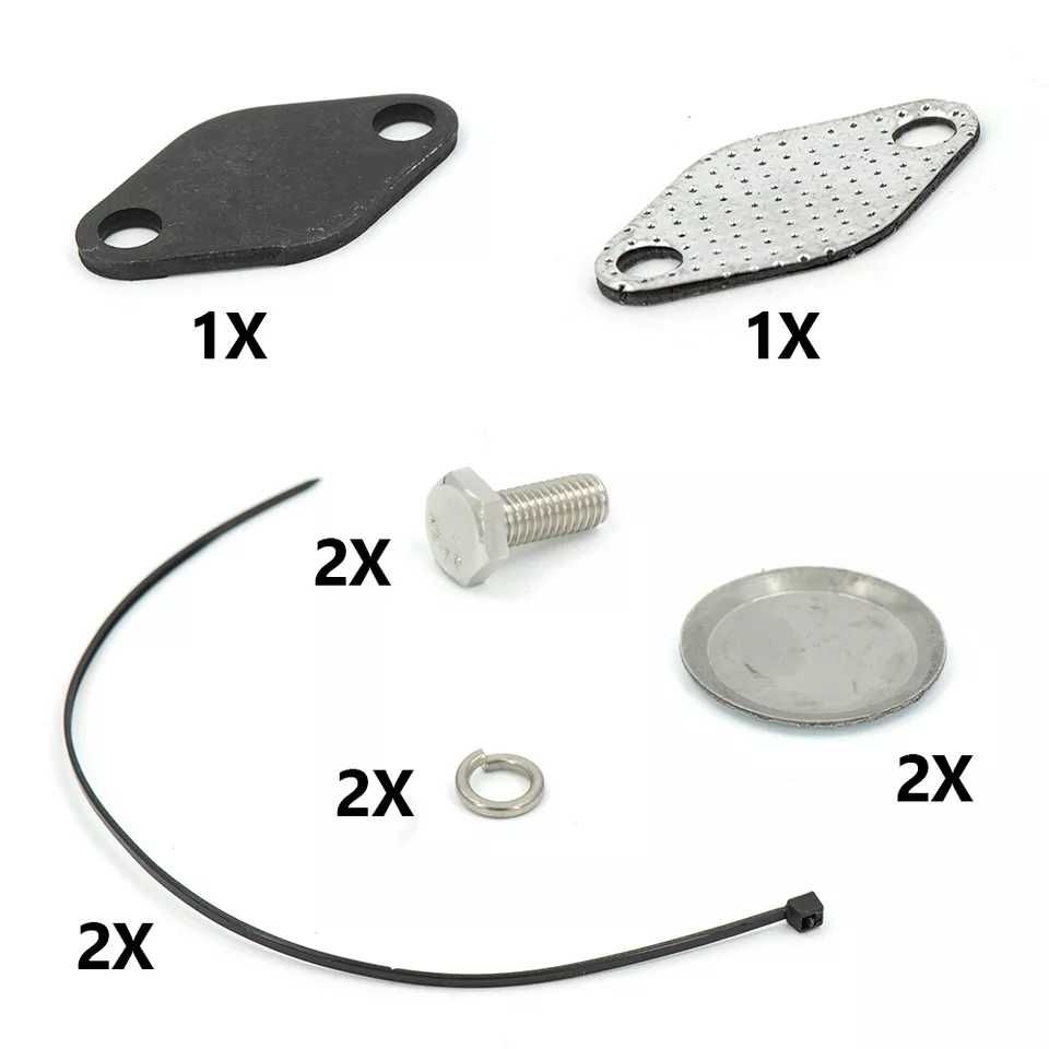 Kit anulador egr supressor para modelos bmw E46 318d 320d 330d