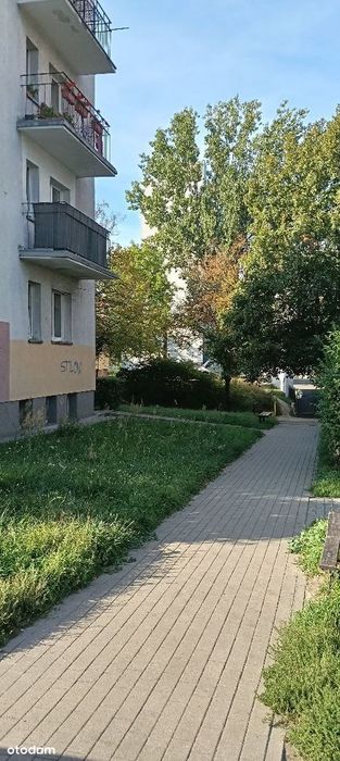 Nowa Oferta! Do Wynajęcia Od Ręki!