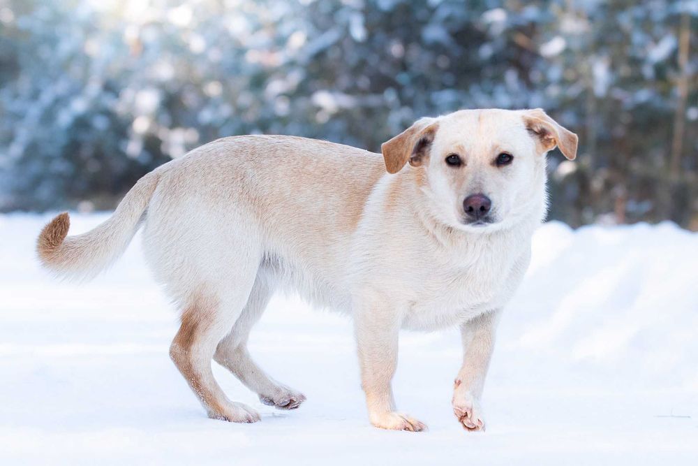 Lumea: młoda, rezolutna i przyjazna