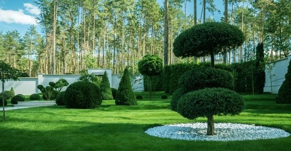 Ландшафтний дизайн. Пишіть на Вайбер